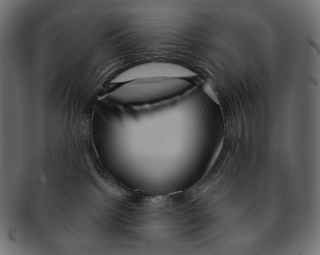 X0000091930092200710031107