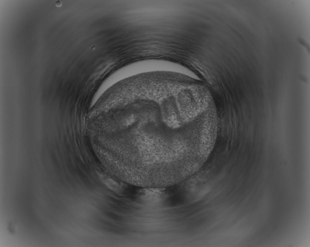 X0000091930093200710031107