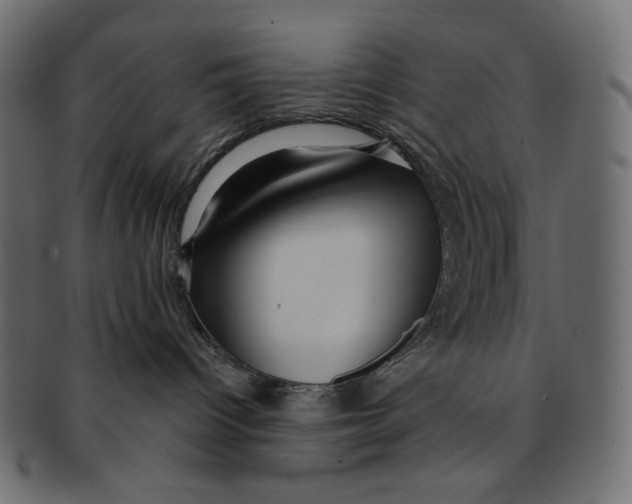 X0000091930096200710031107