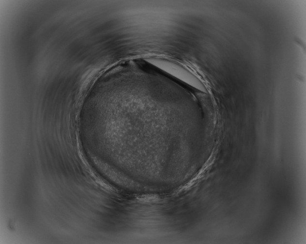 X0000091930097200710031106