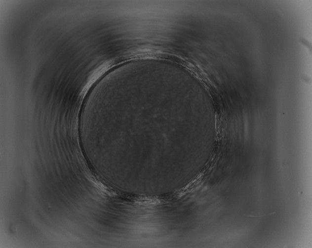 X0000091930099200710031106