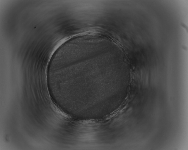 X0000091930100200710031106