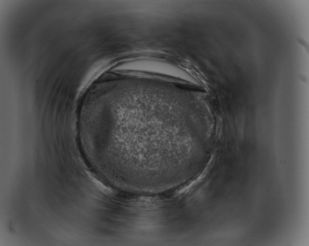 X0000091930101200710031106