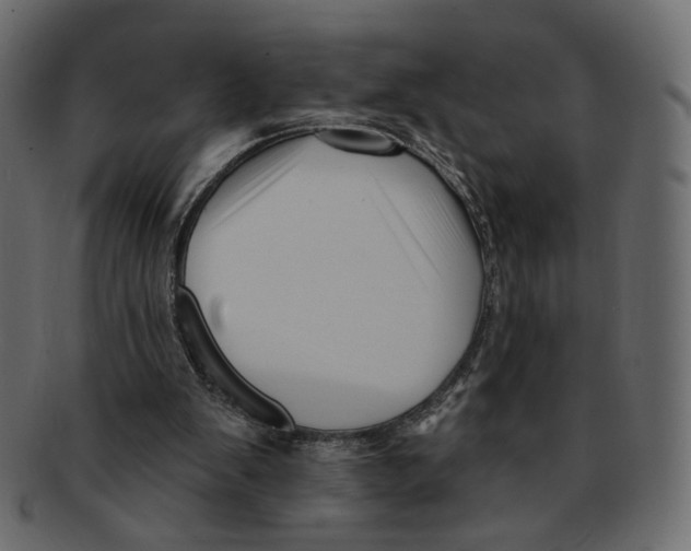 X0000091930103200710031106