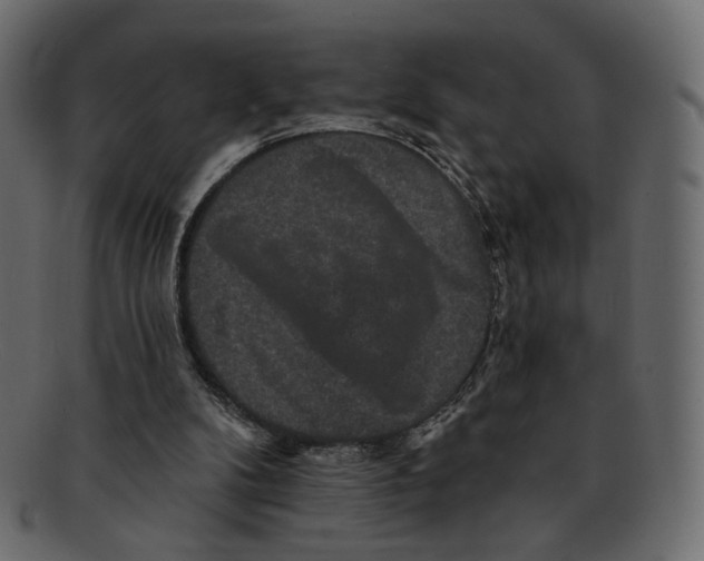 X0000091930104200710031106