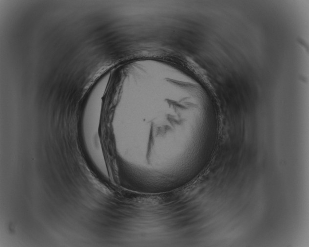 X0000091930106200710031106