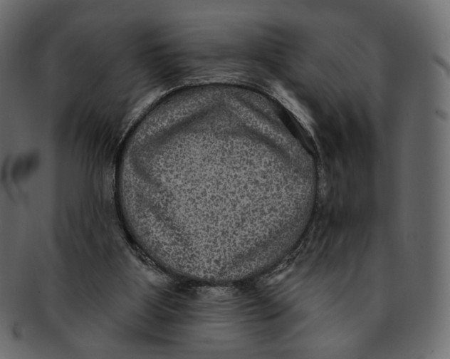 X0000091930107200710031106