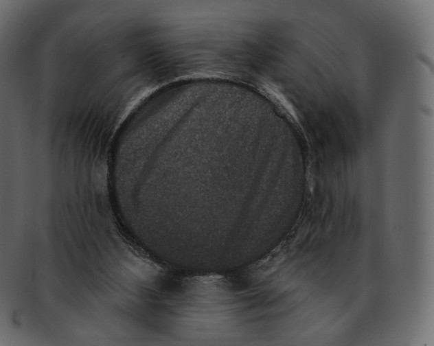 X0000091930108200710031106