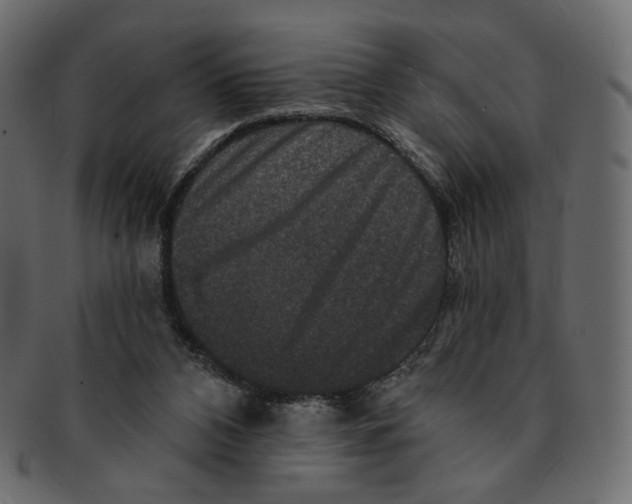 X0000091930112200710031106