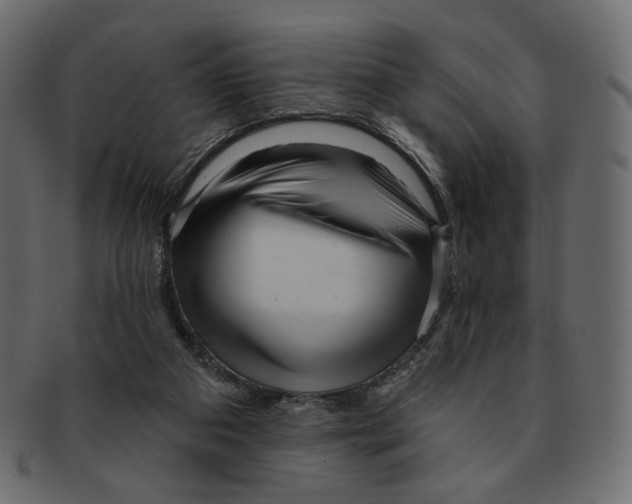 X0000091930113200710031106