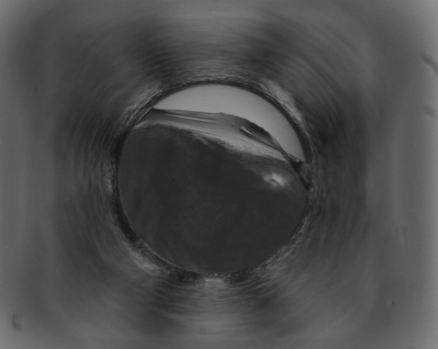 X0000091930114200710031106