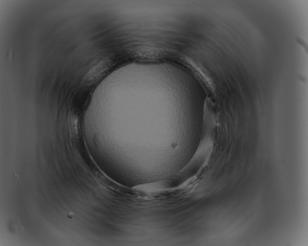 X0000091930117200710031106