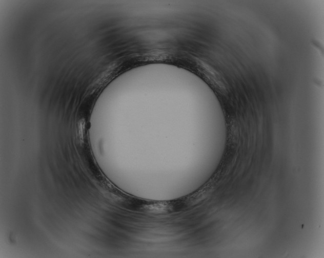 X0000091930118200710031106