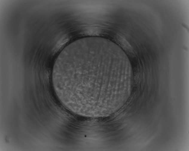 X0000091930120200710031106