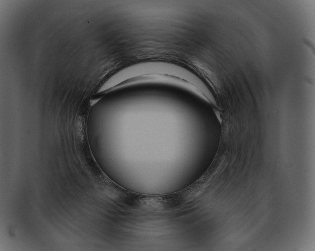 X0000091930121200710031106