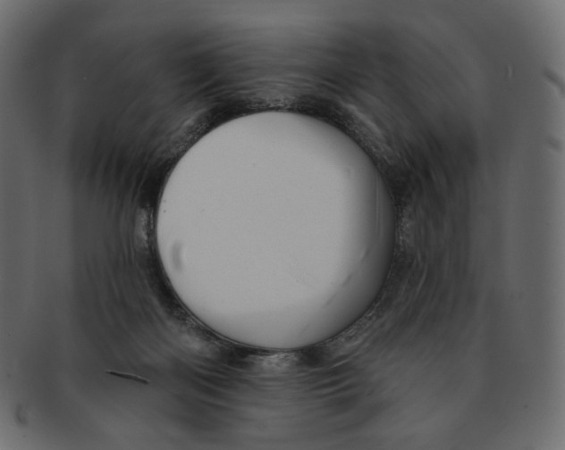 X0000091930122200710031106