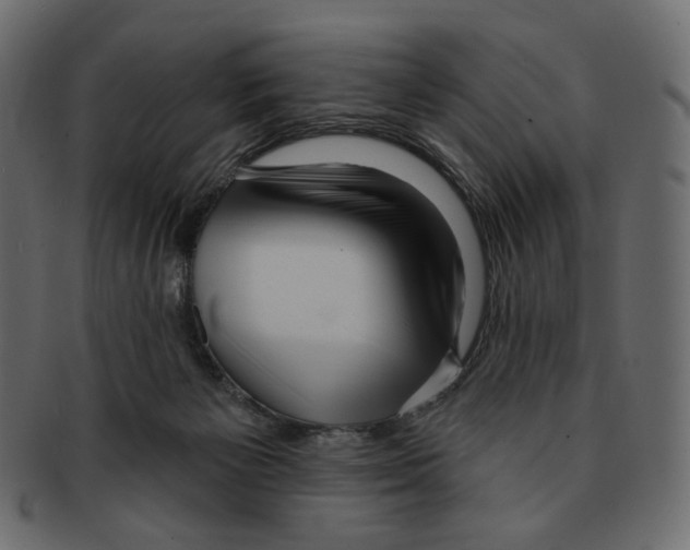 X0000091930125200710031106