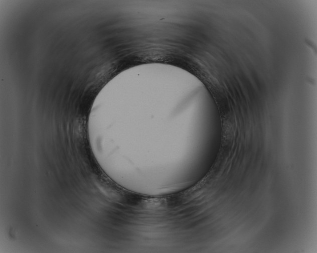 X0000091930126200710031106