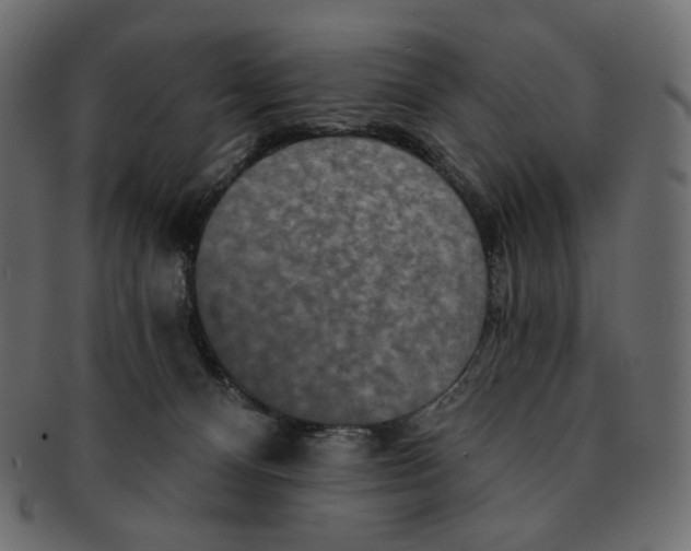 X0000091930128200710031106