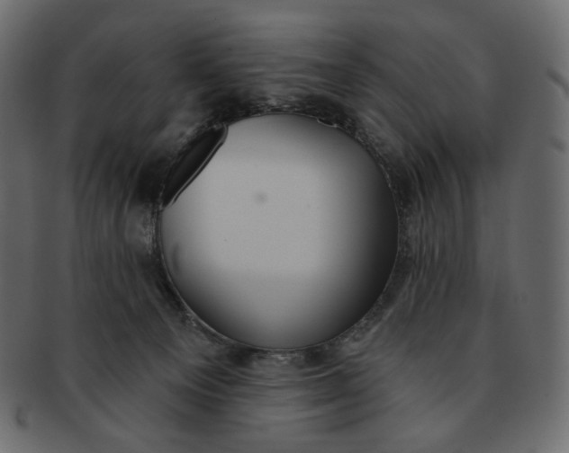 X0000091930129200710031106