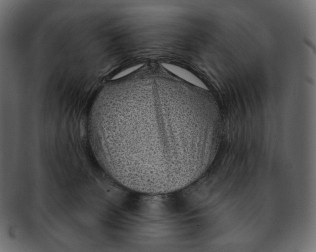 X0000091930131200710031106