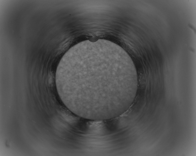 X0000091930132200710031106