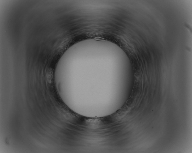 X0000091930133200710031106