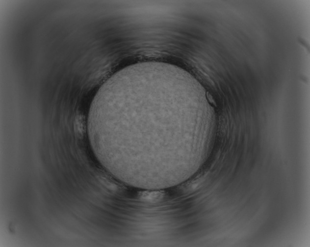 X0000091930135200710031106