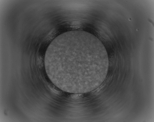 X0000091930136200710031106