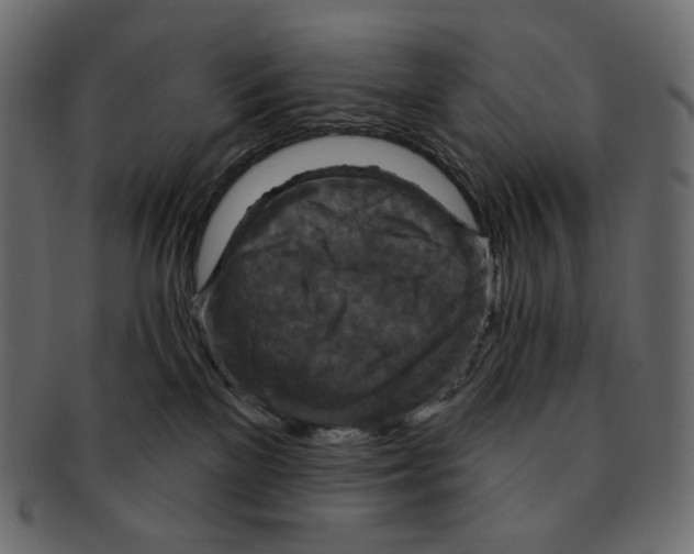 X0000091930137200710031106