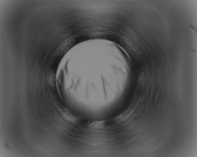 X0000091930138200710031106