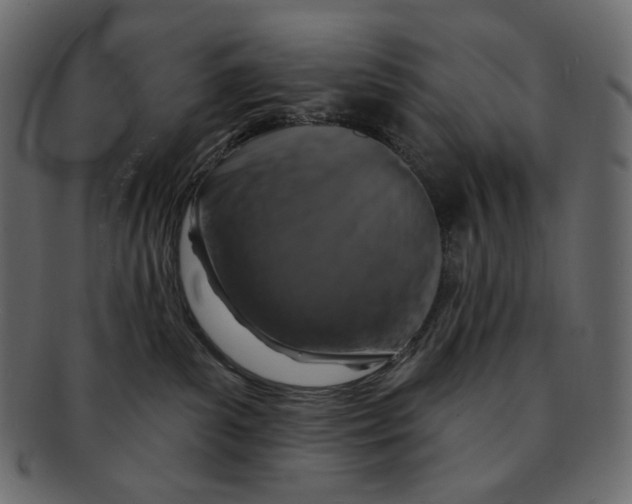 X0000091930139200710031106