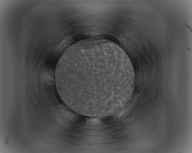 X0000091930140200710031106