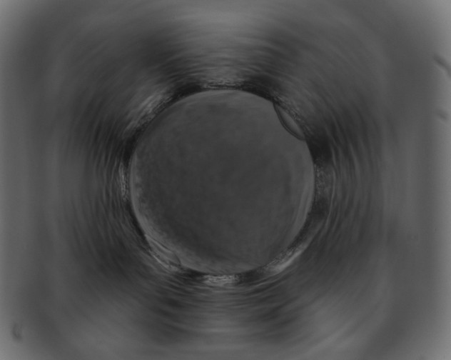 X0000091930143200710031106