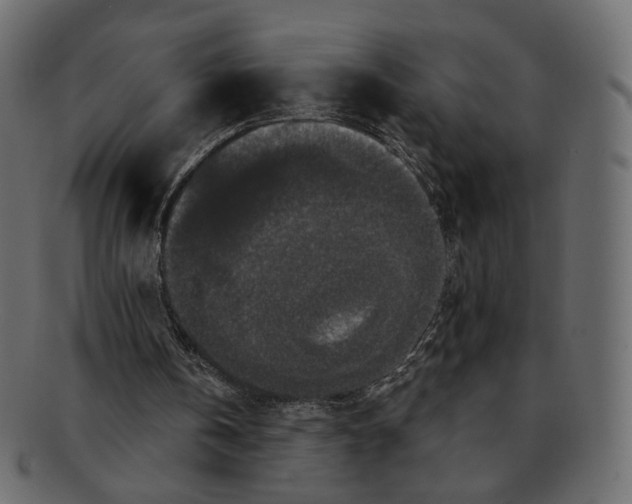 X0000091930146200710031105