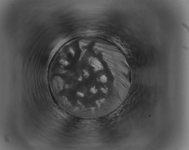 X0000091930147200710031105