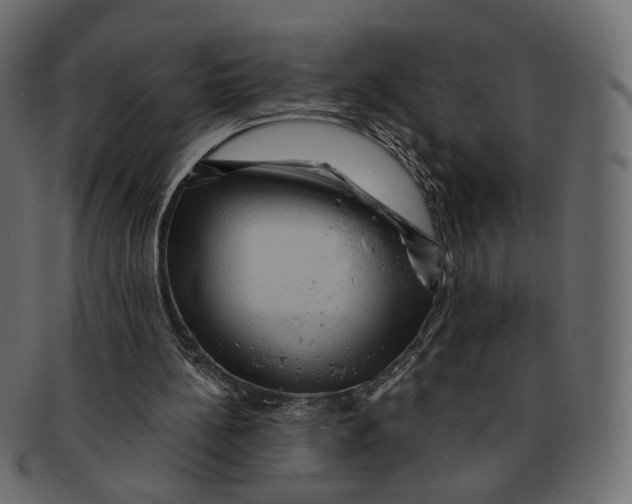 X0000091930148200710031105