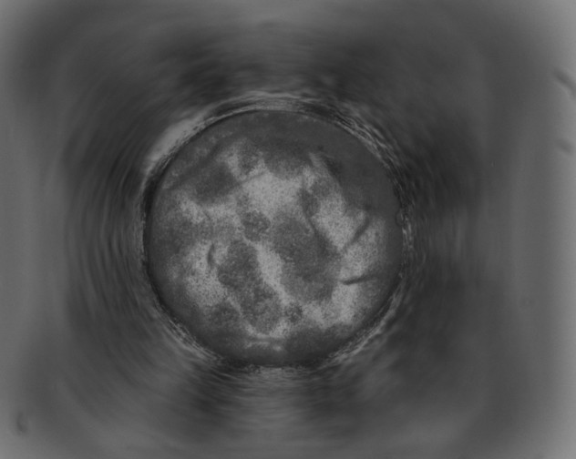 X0000091930149200710031105