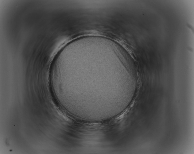 X0000091930151200710031105