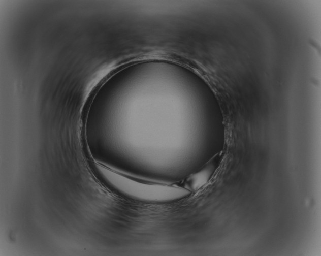 X0000091930152200710031105