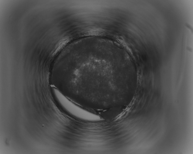 X0000091930154200710031105