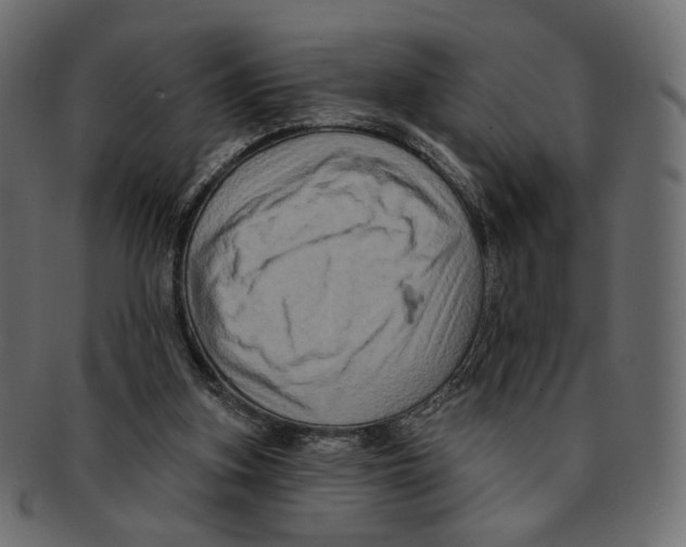 X0000091930155200710031105