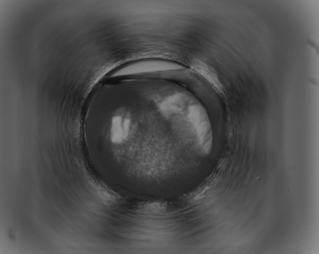 X0000091930156200710031105