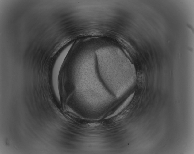 X0000091930158200710031105