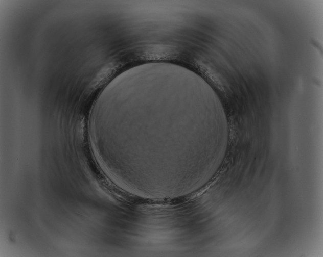 X0000091930163200710031105