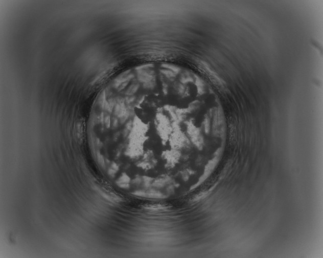 X0000091930165200710031105