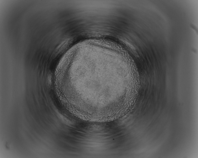 X0000091930166200710031105