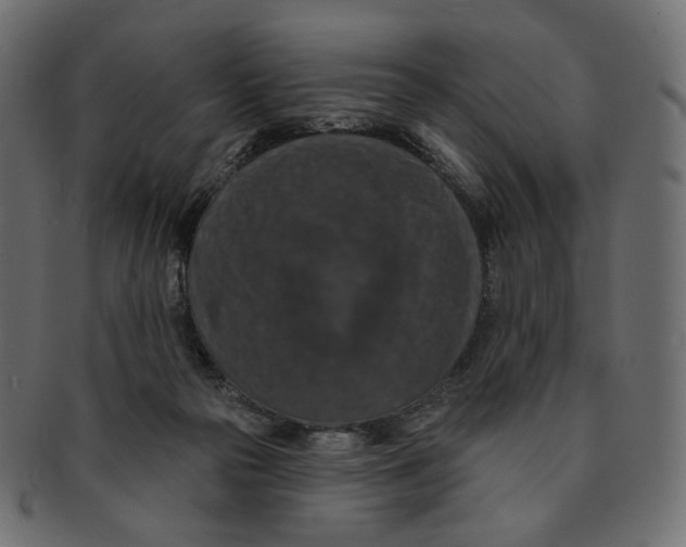 X0000091930169200710031105