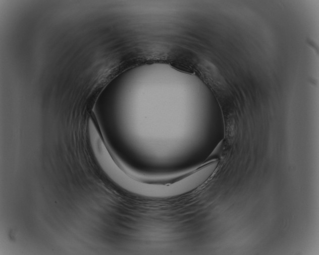 X0000091930172200710031105