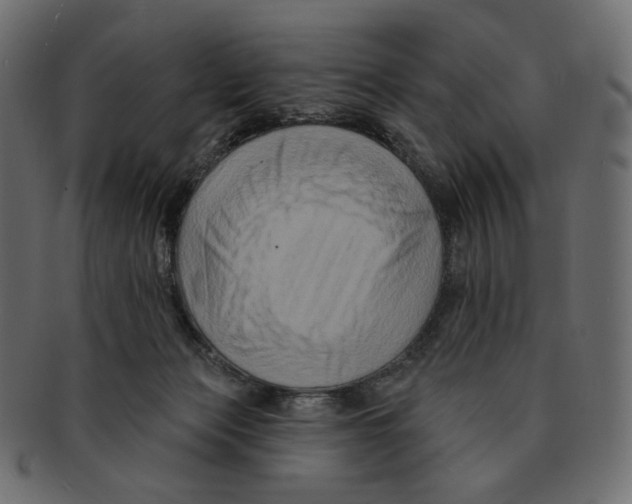 X0000091930173200710031105